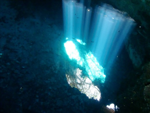 crystal clear water of a Cenote in Yucatan, Mexico