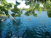 cenote Azul, Quintana Roo, Mexico: by timeless-travelling, Views[141]