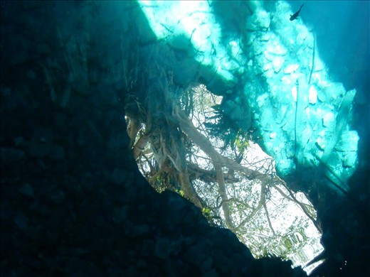 reflection on the ground of a Cenote next to Cuzama, Mexico