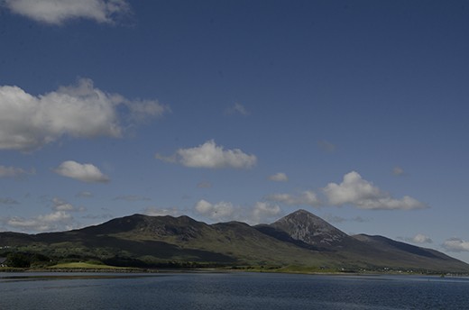 saint Patricks Summer