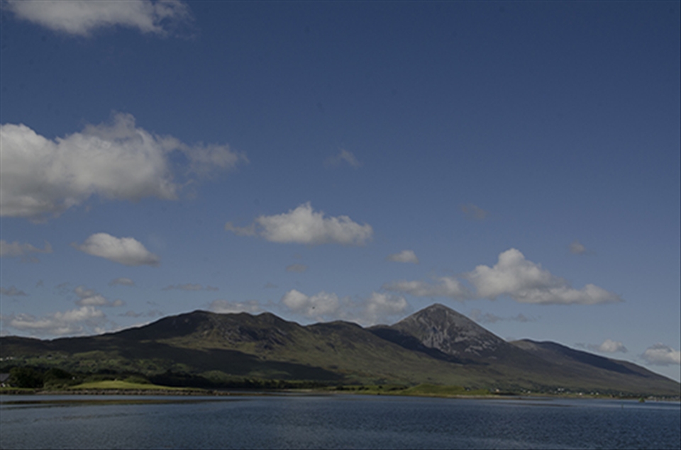 saint Patricks Summer