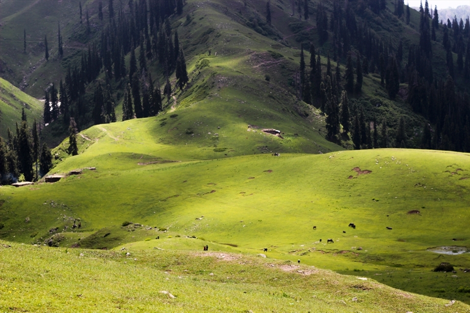 Paye Valley At The Height of 12800 FEET .KPK PAkistan