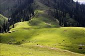 Paye Valley At The Height of 12800 FEET .KPK PAkistan: by timm_khan93, Views[1607]