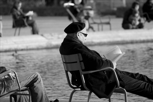Literature. A man reads a book in Jardin des Tuileries‬ (The Tuileries Garden). The Garden is alive with people congregating around its beautiful grounds and water features.