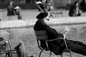 Literature. A man reads a book in Jardin des Tuileries‬ (The Tuileries Garden). The Garden is alive with people congregating around its beautiful grounds and water features.: by timothyjedwab, Views[308]