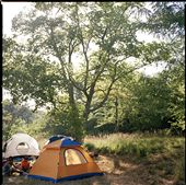 Camp-out: by timothymulcare, Views[694]