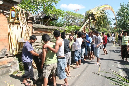 My friend Made and the boys from his village raising their home made penjor. A symbol erected for various holidays.  I was told that the straight shaft is symbolic for walking the straight (holy) path in life, but the top curving over is about the need for flexibility on this path.