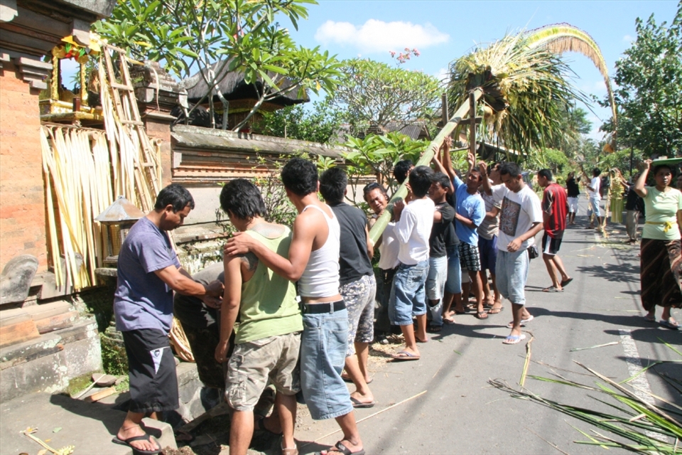 My friend Made and the boys from his village raising their home made penjor. A symbol erected for various holidays.  I was told that the straight shaft is symbolic for walking the straight (holy) path in life, but the top curving over is about the need for flexibility on this path.