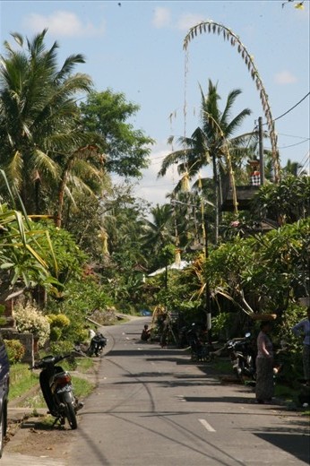 A typical penjor lined street in a residential neighbourhood of Ubud