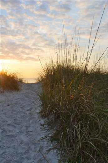 Sunrise, Jax beach. Angle chosen for the light on the sawgrass and sandy path