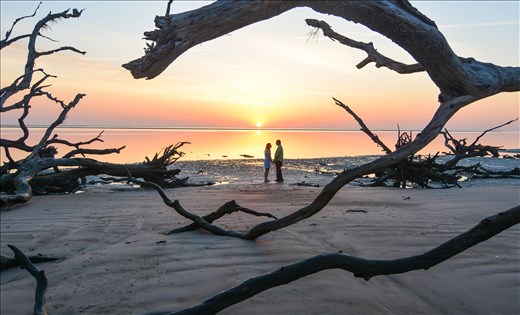 Sunrise, framed with driftwood at the beach. My little brother and his fiance