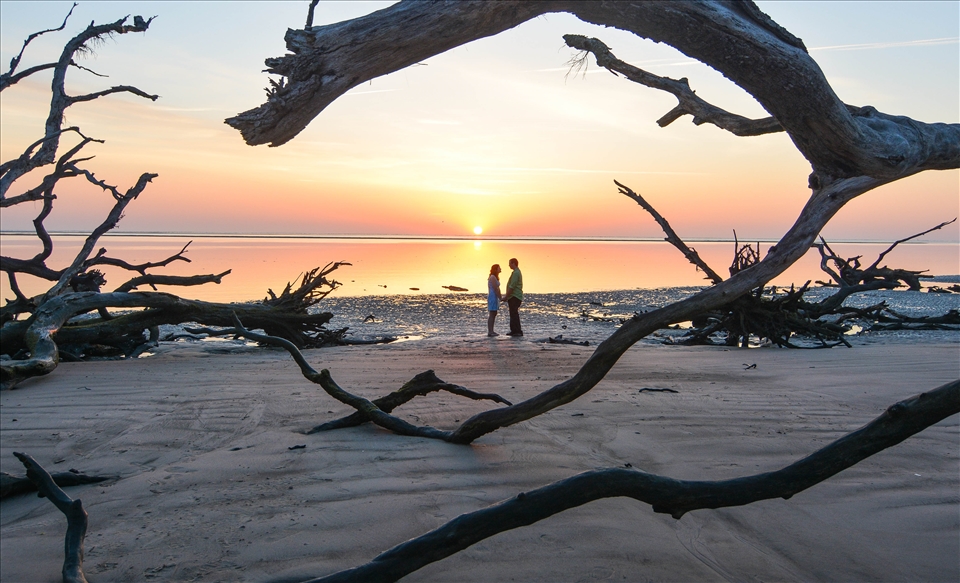 Sunrise, framed with driftwood at the beach. My little brother and his fiance