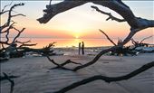 Sunrise, framed with driftwood at the beach. My little brother and his fiance: by timstravels, Views[185]