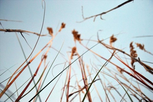 Inserted tripod with camera facing up, yielded something quite pleasant