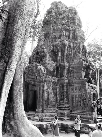 My friend Ted's photo from the very old yet still pulsing Angor Wat in Cambodia.