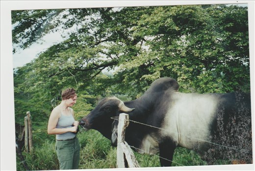 Meeting the family bull.