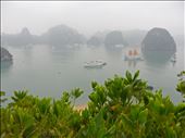 The wintery mist of Halong Bay in Northern Vietnam.  Makes me want to sing a karaoke song.: by tinamurty, Views[206]
