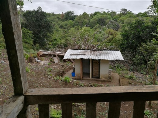 Mit værelse har udsigt over skoven
-Og badeværelset.