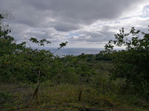 Udsigten fra min arbejdsdag