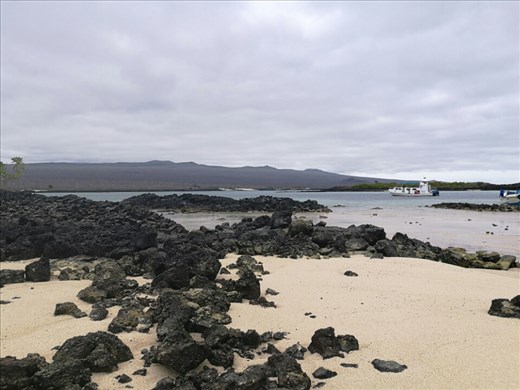 La Loberia. Snorklede for første gang og mødte en havskildpadde undervejs