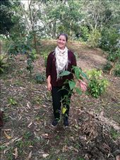 Mig og mit Lille Træ: by tinast, Views[303]