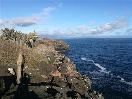 Udsigten fra kysten ved Jatun Sacha