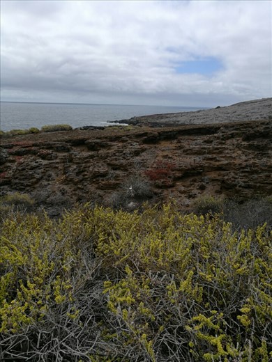 Boobie-pics! Zoom ind!