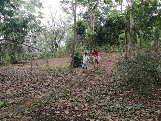 Torill er bange for heste