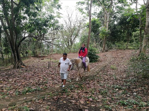 Det kunne man nu ikke mærke på hende den dag vi hentede hestene hjem fra engen.