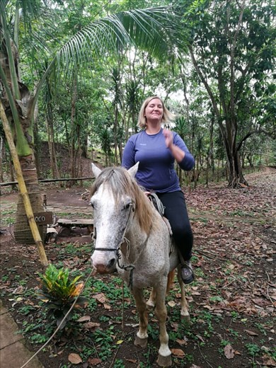 Jeg er ikke bange for heste.