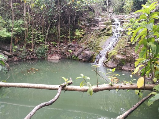 Efter at have ledt efter den i ugevis fandt vi endelig vandfaldet og lagunen