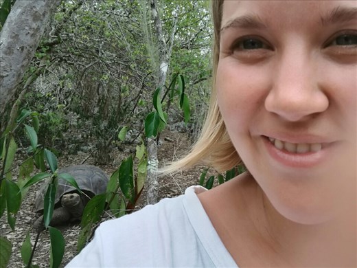 Kæmpeskildpaddeselfie 😊