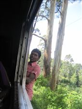 by tinkertales, Views[118]