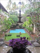 by tinkertales, Views[156]