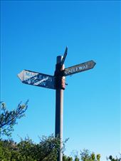 by tinkertales, Views[135]