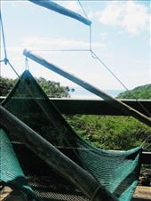 by tinkertales, Views[162]