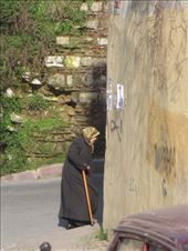 by tinkertales, Views[141]