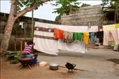 A girl handwashing clothes in the courtyard.: by tiph, Views[373]