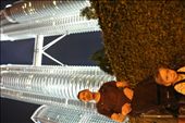 Just our luck, Petronas towers closed the day we want to go up.: by tjarvis, Views[319]