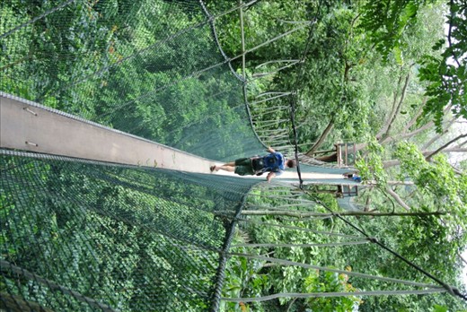 We couldn't make it up the Petronas towers so how about a canopy walk instead. Watch your step Andy remember you have a little monkey on your back.