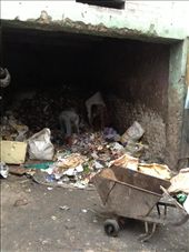 Rag-picking (by Elle Chisholm): by tjrossi, Views[287]