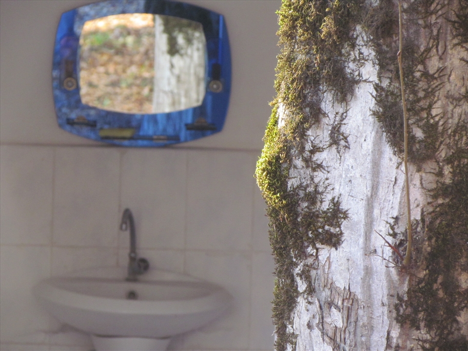 I found this restroom at the forest by the Qabala-Baku highway.