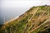 france - normandy beaches in the mist: by tobyshawphoto, Views[247]