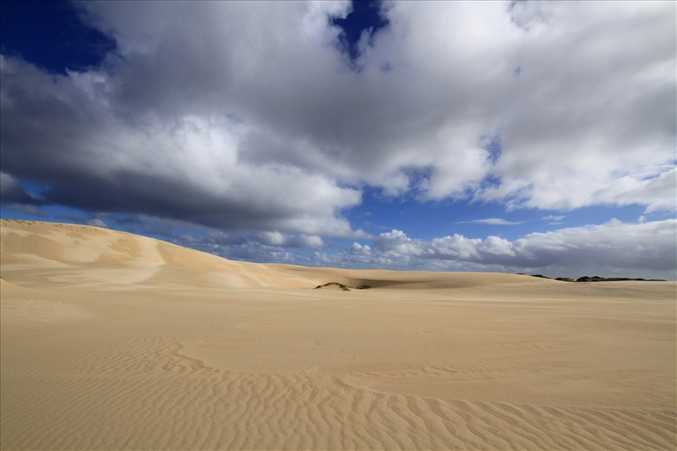 Swan Lake, Portland Victoria. 