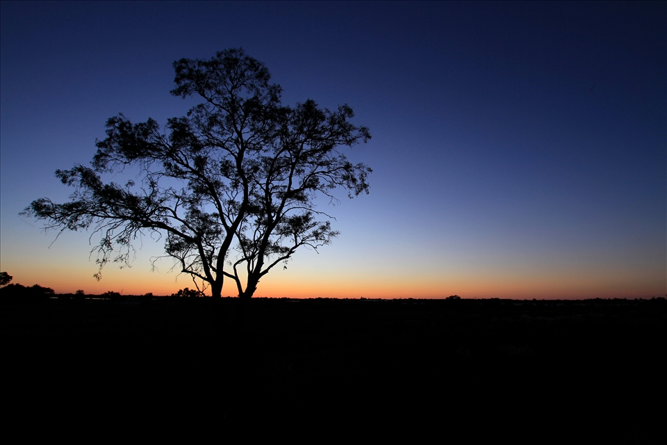 Sunset Silhouetting, Mildura