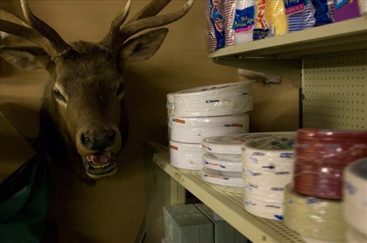 The shelves at Johnnie's Cash Store are not as full as they used to be. 