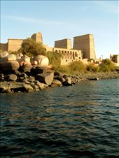 Philae Temple
After it was flooded by Aswan low dam 1906, Philae temple been rescued by UNESCO project 1960 where it been transported from it's original island - Philae island- to the nearby island   Agilkia island-  and was assembled     in a way representing it's original status.: by toka, Views[387]