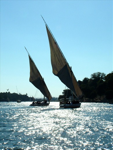 It is said that once you drink from the nile you will come back for more'     