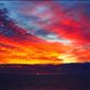 by tom-fossati, Views[155]