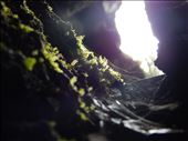 Crouched in a cave, carved by the steady stream of lava, I looked through a crack on the ceiling. Above me shined the sun, illuminating the growing spuds of moss and the thin cobwebs of spiders. As the time has passed, beautiful things have come to colonize this large volcano. It is beautiful to see this steady progression of life moving into the tiniest pieces of lava.: by tomas-nocera, Views[328]